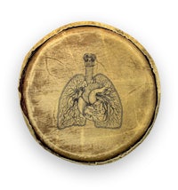 a wooden box with a drawing of lungs on it